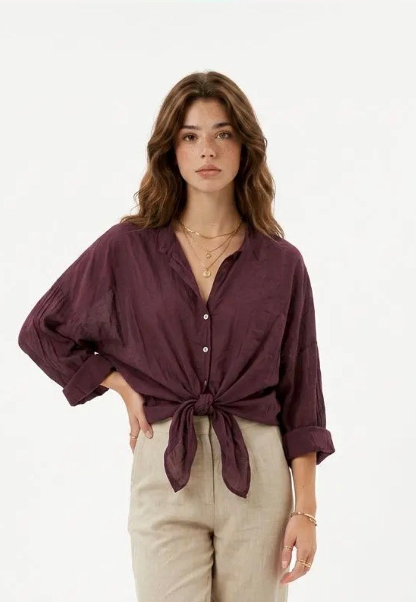 Camicia con Variante di Colore